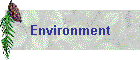 Environment